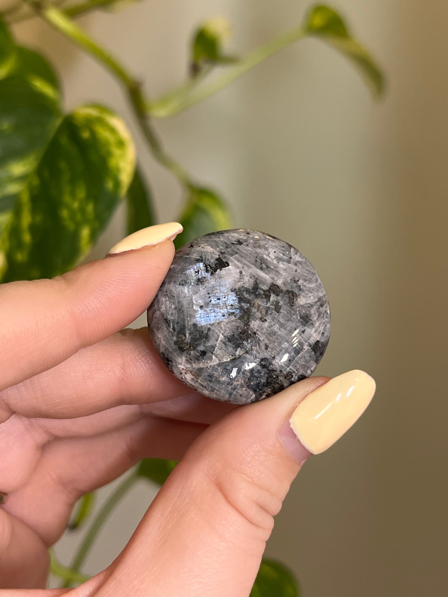 Larvikite Button