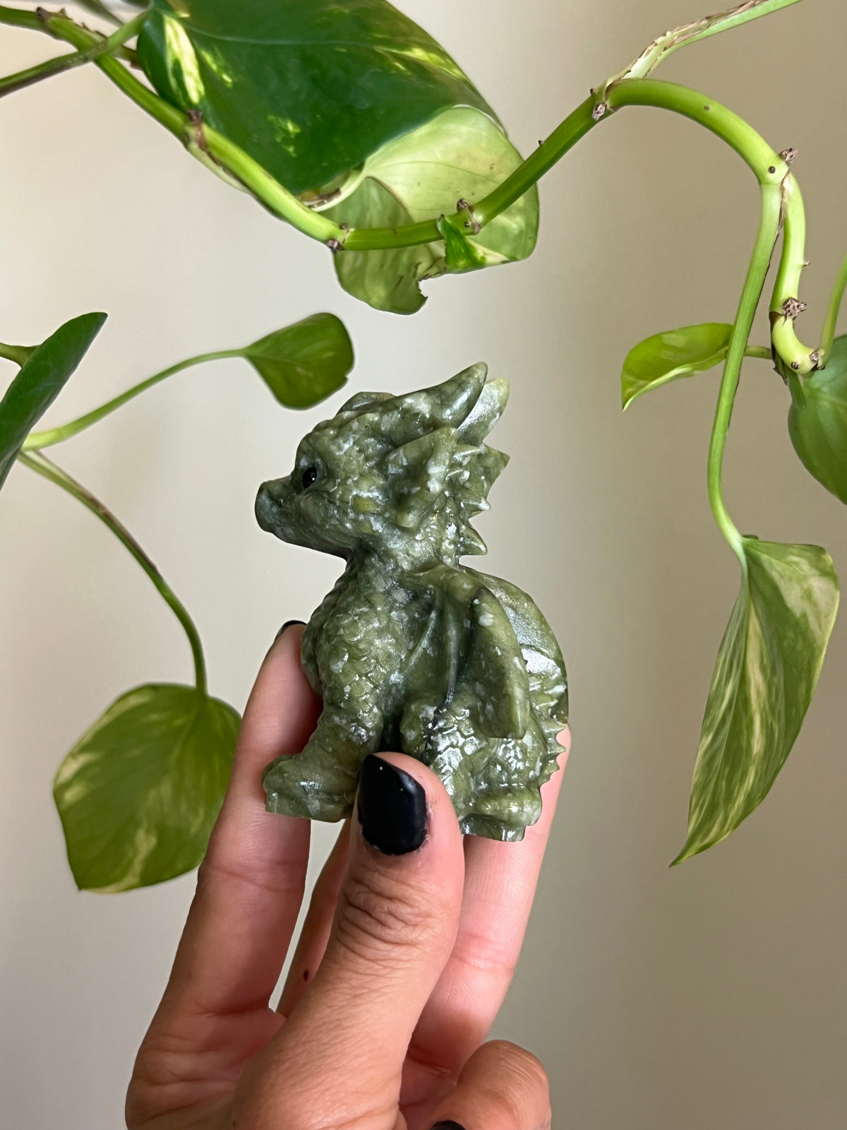 Jade Dragon