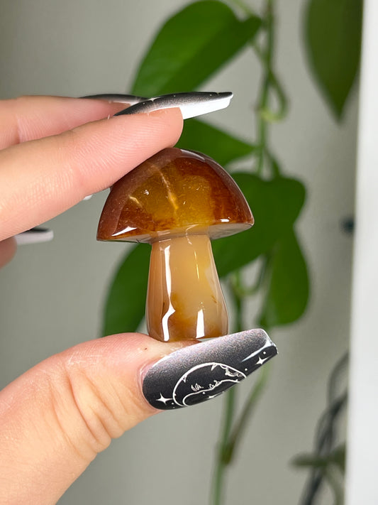 Carnelian Mushroom