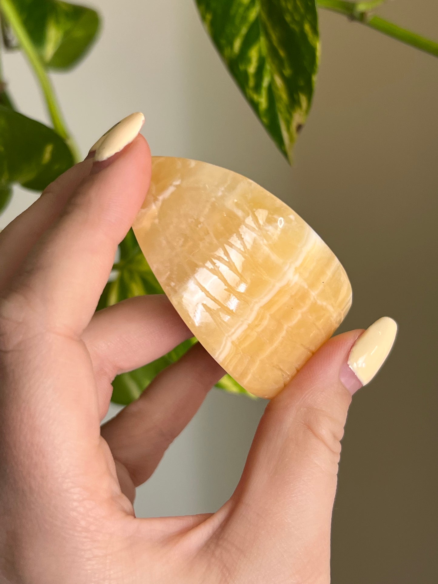 Orange Calcite Fruit Slice 🍊