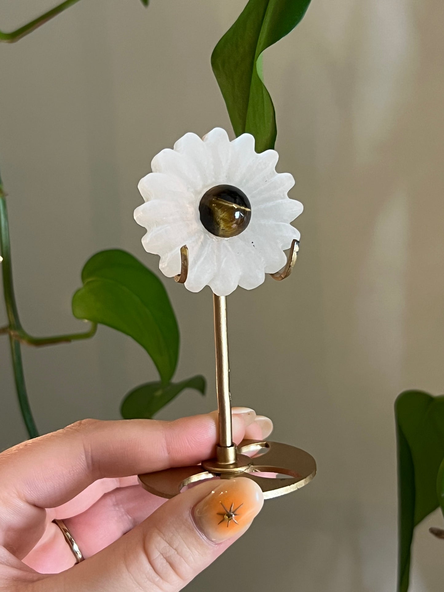 Selenite Satin Spar & Tigers Eye Flower Stand