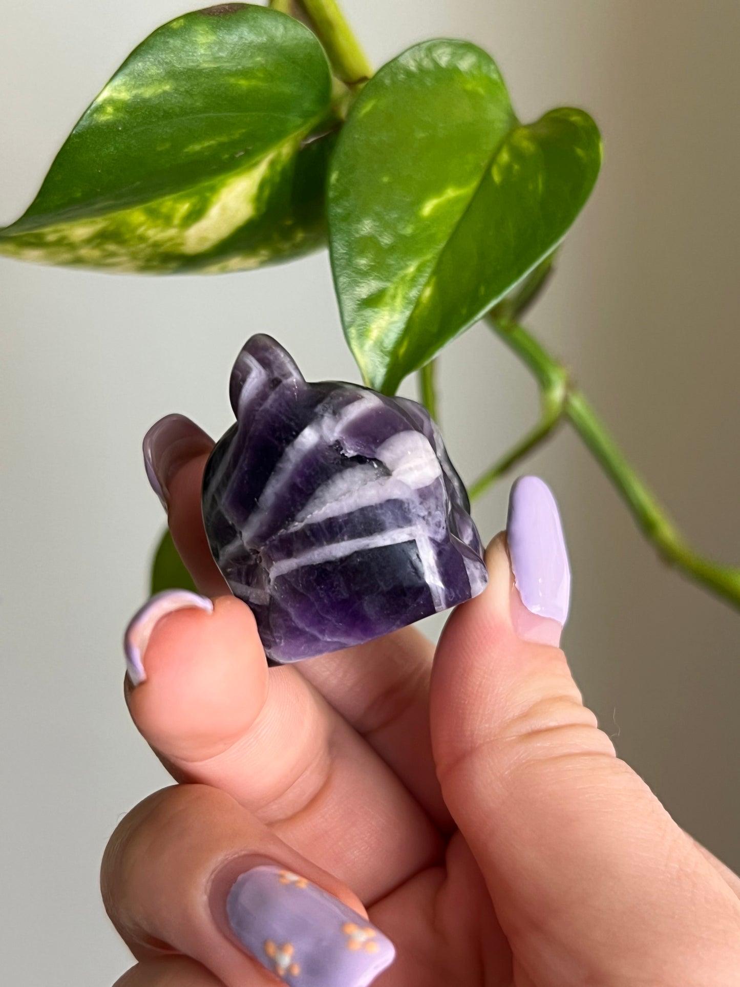 Dream Amethyst Playful Cat
