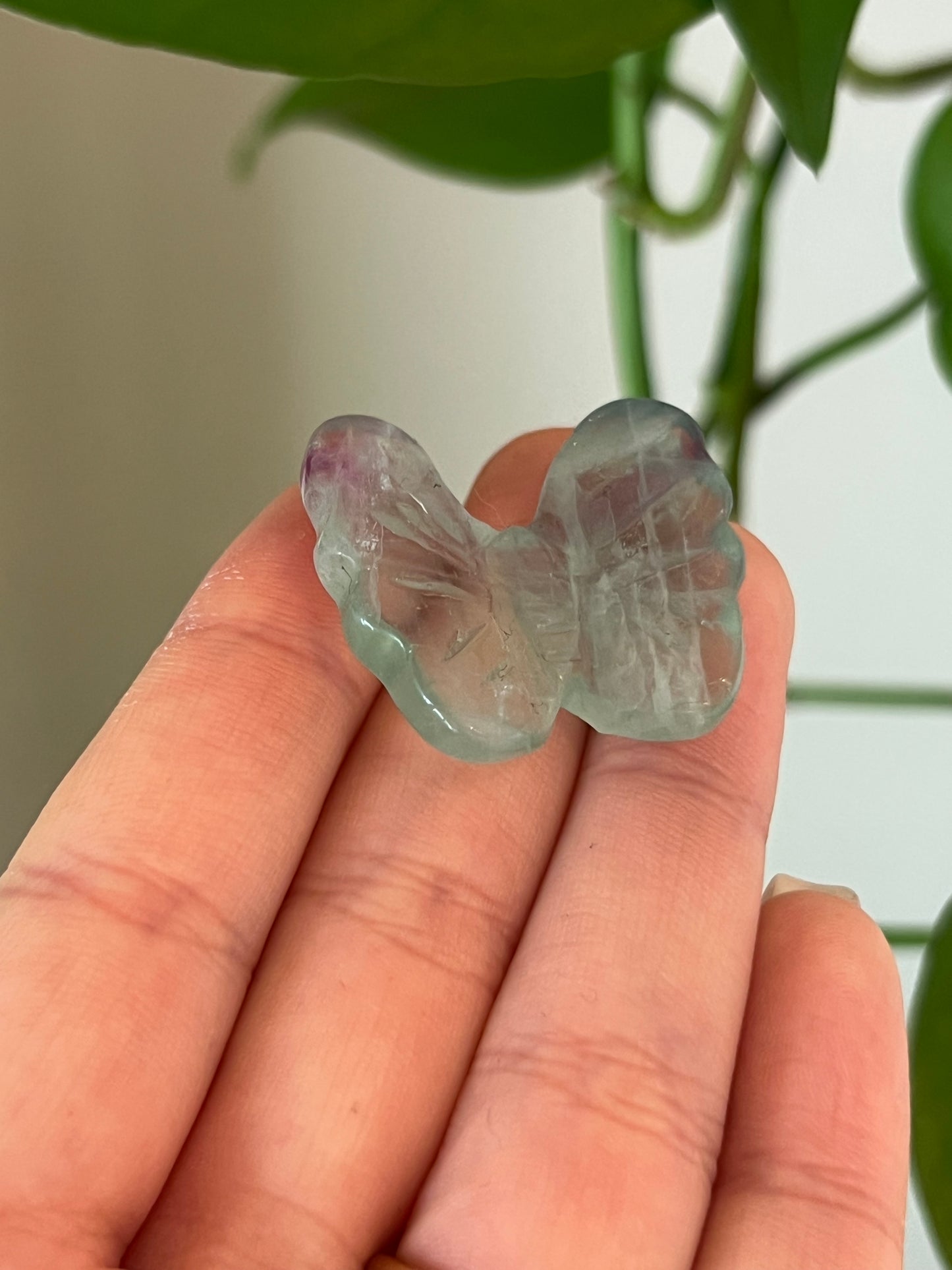 Green Fluorite Butterfly