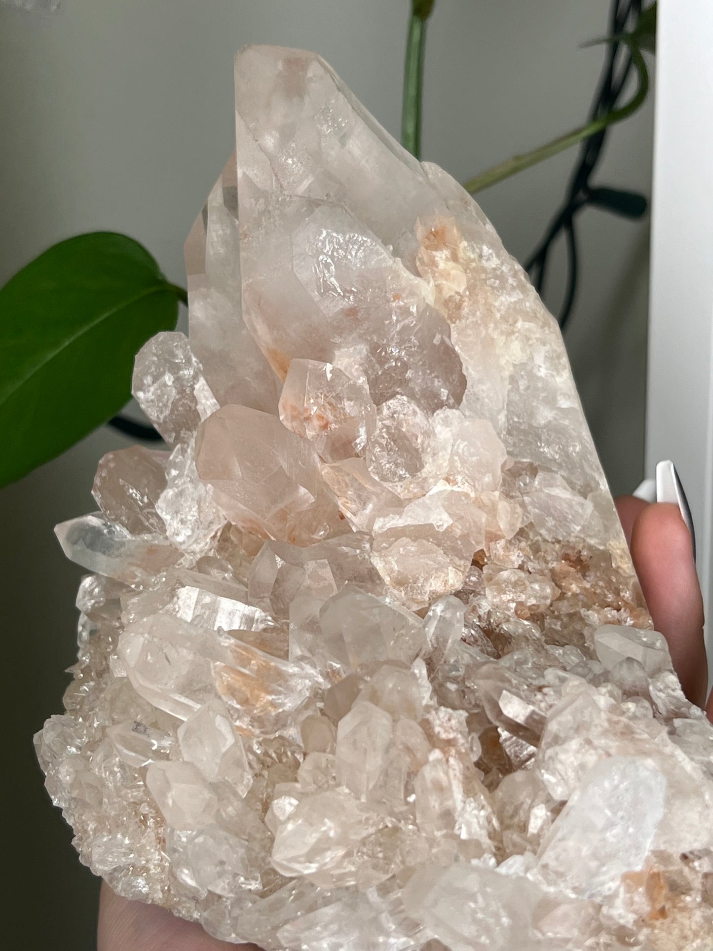 Himalayan Quartz Cluster - Extra Large