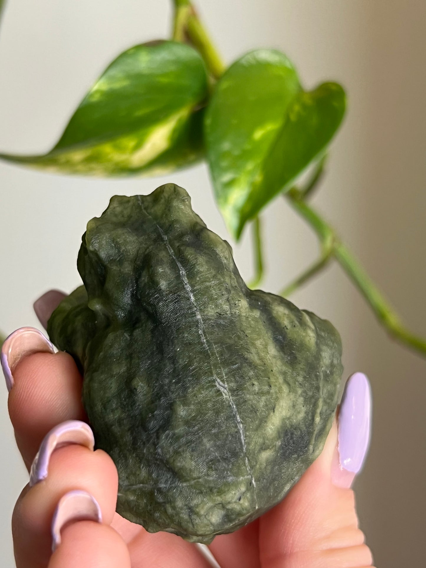 Jade Toad