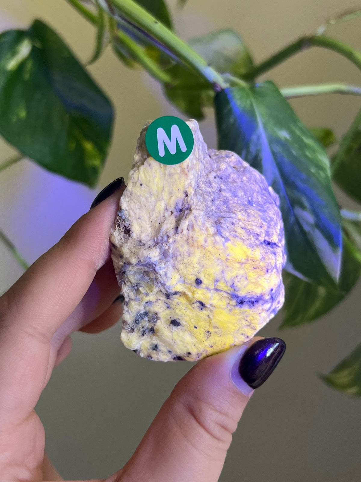 UV Reactive Meionite Scapolite Specimen - M