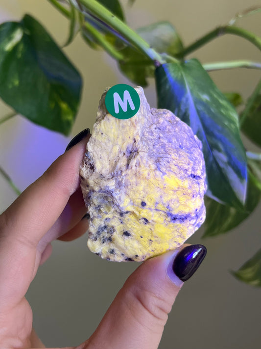 UV Reactive Meionite Scapolite Specimen - M