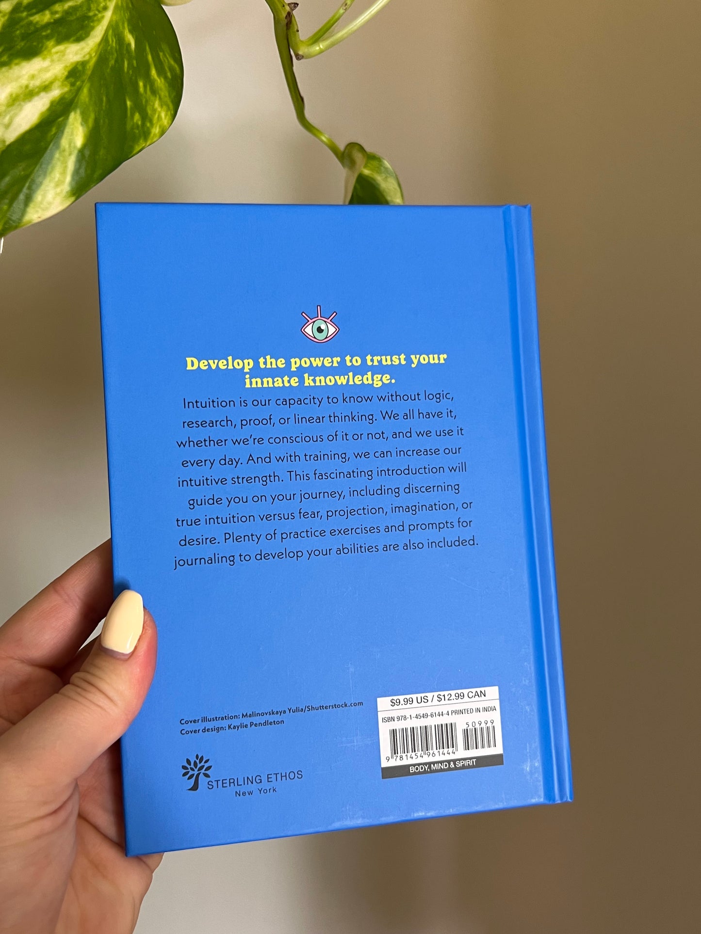 A Little Bit of Intuition Book