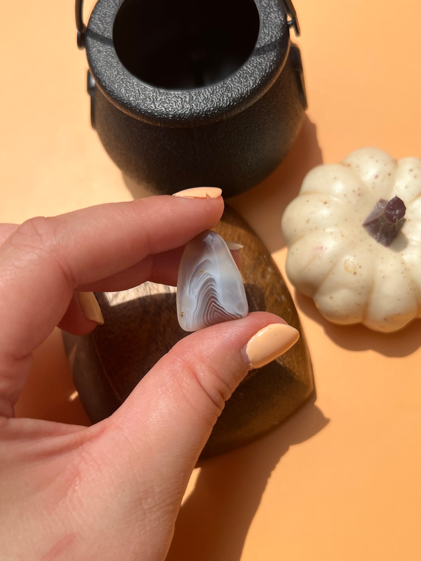 Botswana Agate Croc Charm 🤎