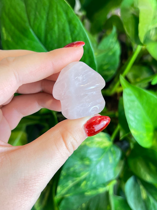 Rose Quartz Mushroom Pal