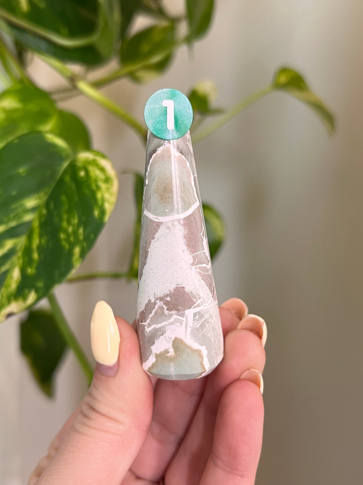 Unicorn Jasper Ring Holder - 1