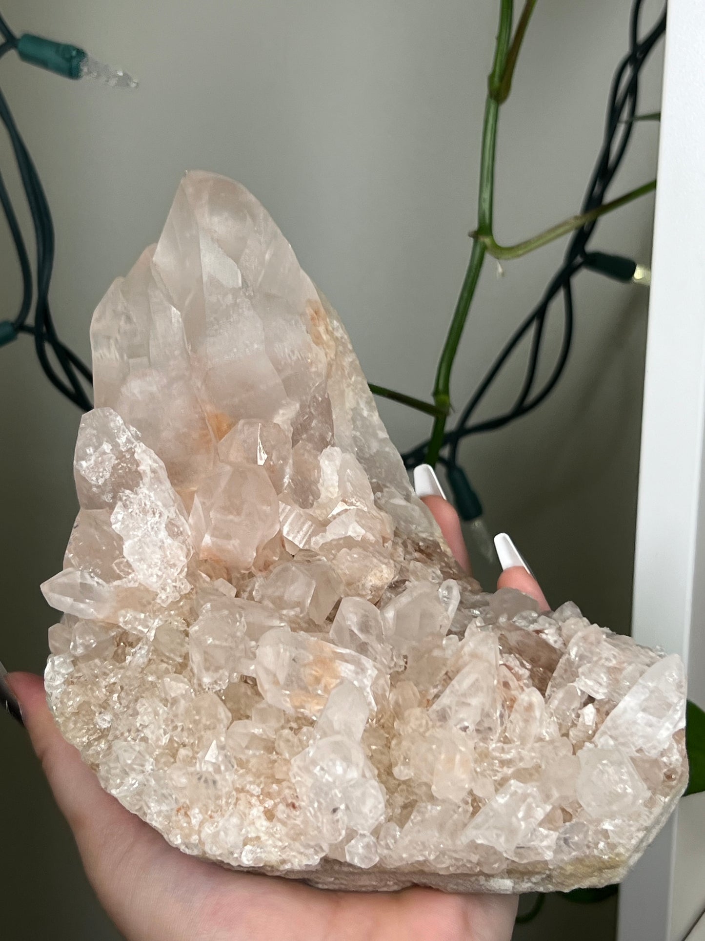 Himalayan Quartz Cluster - Extra Large