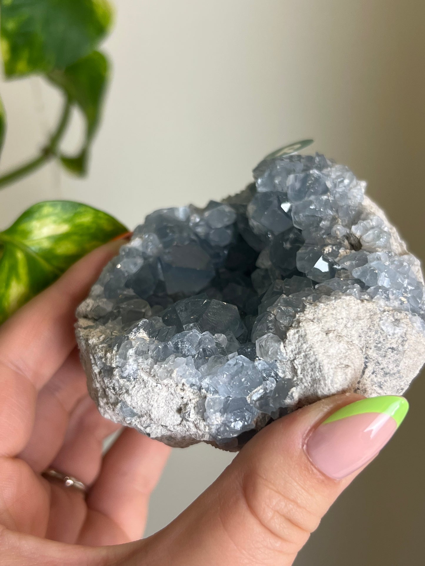 Celestite Cluster - R 🌊