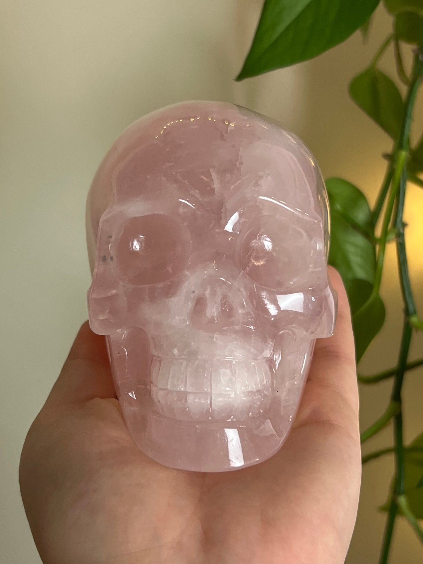 High Quality Rose Quartz XLarge Statement Skull