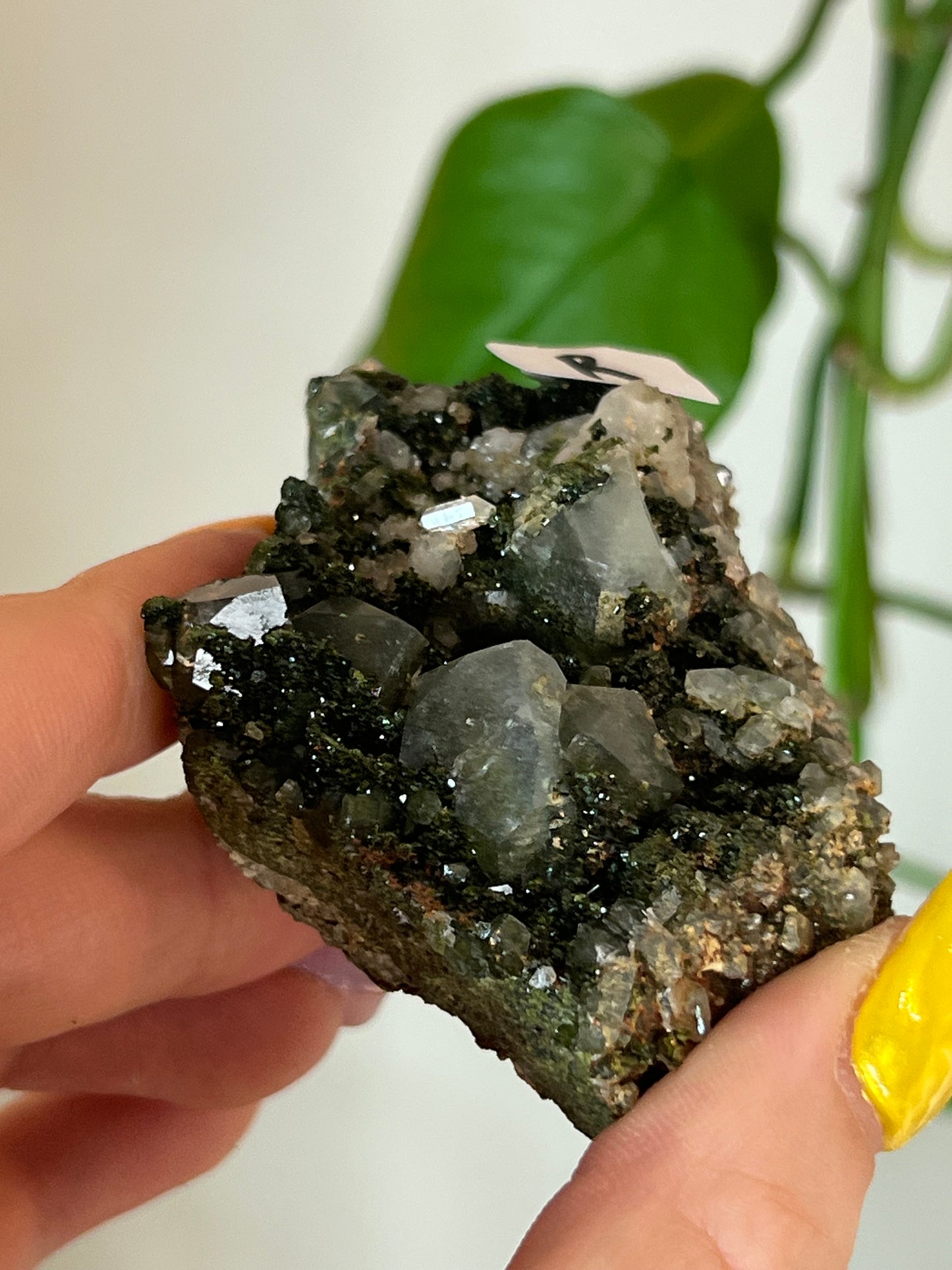 Forest Epidote Quartz Cluster - R