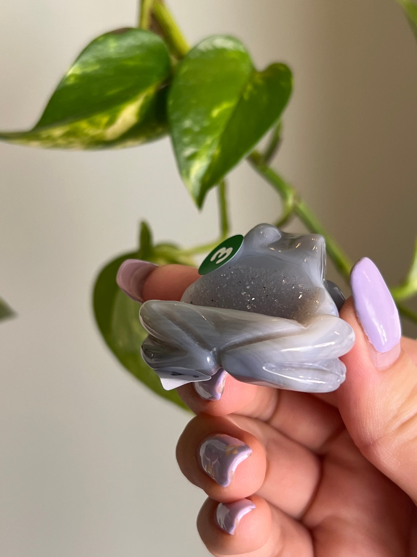 Druzy Agate Frog - 3