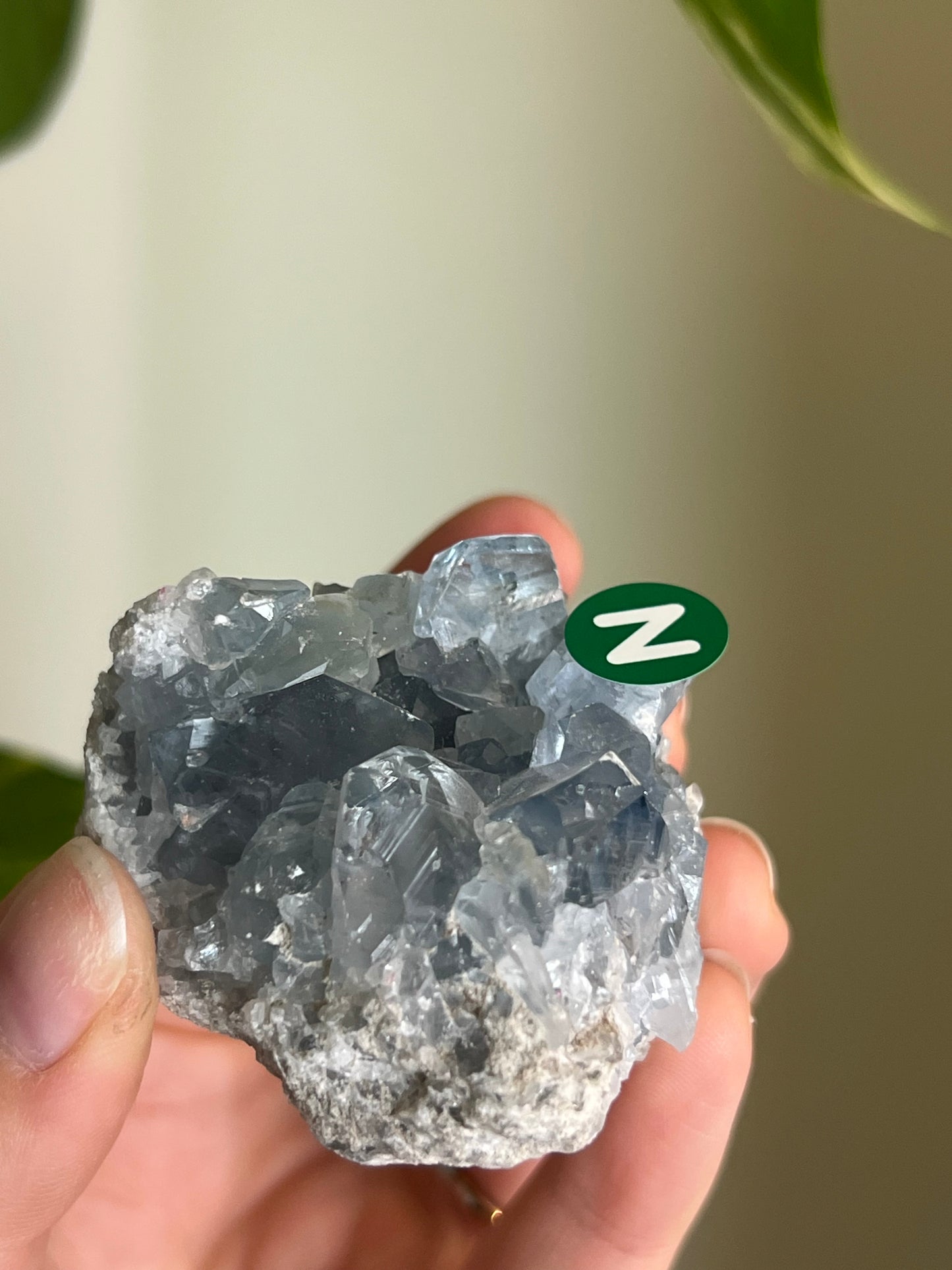 Celestite Cluster Small - N