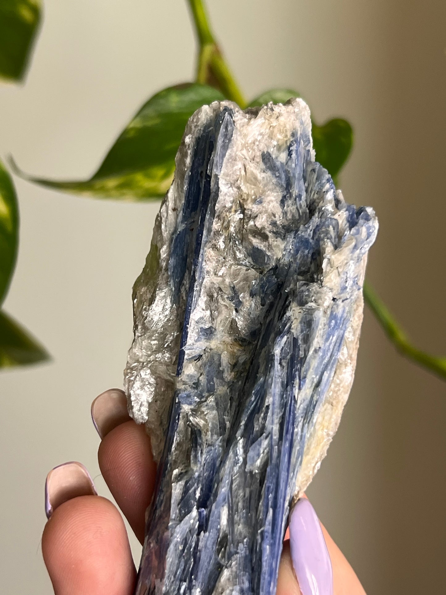 Blue Kyanite Raw Blade