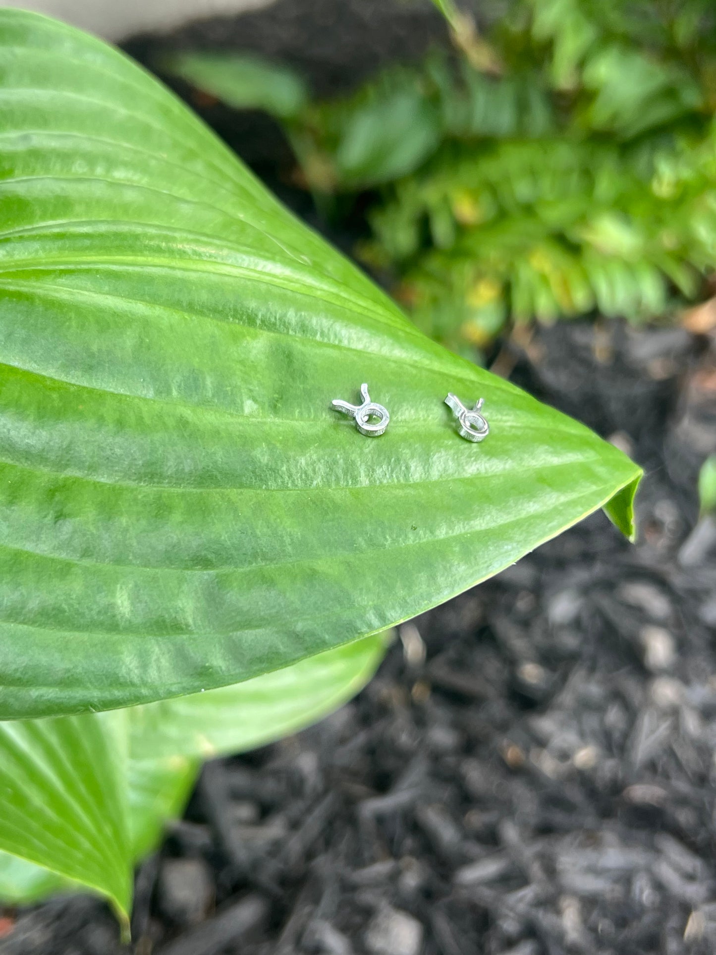 Taurus Silver Zodiac Sign Studs ♉️