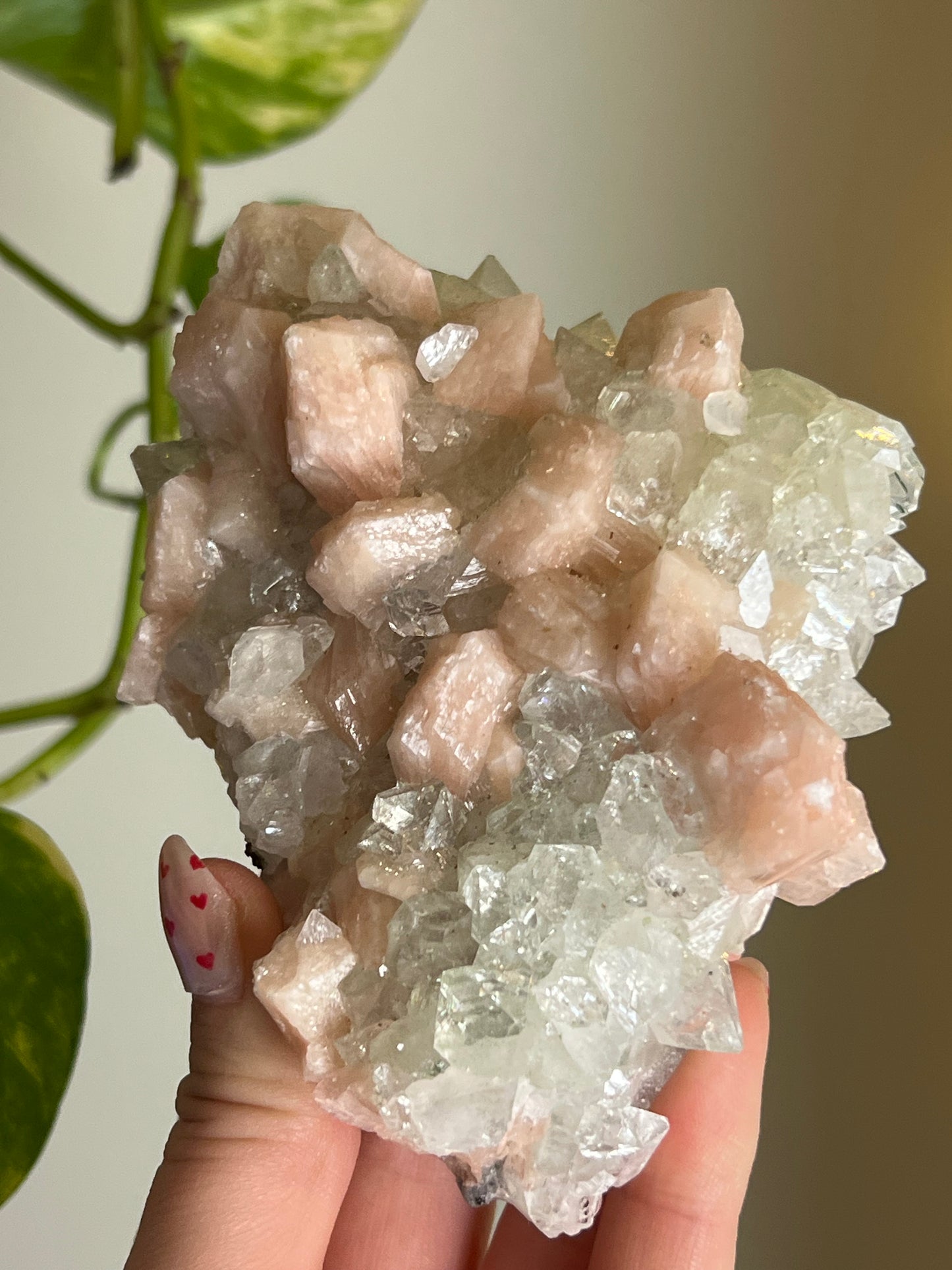 AAA Quality Apophyllite x Stilbite Cluster