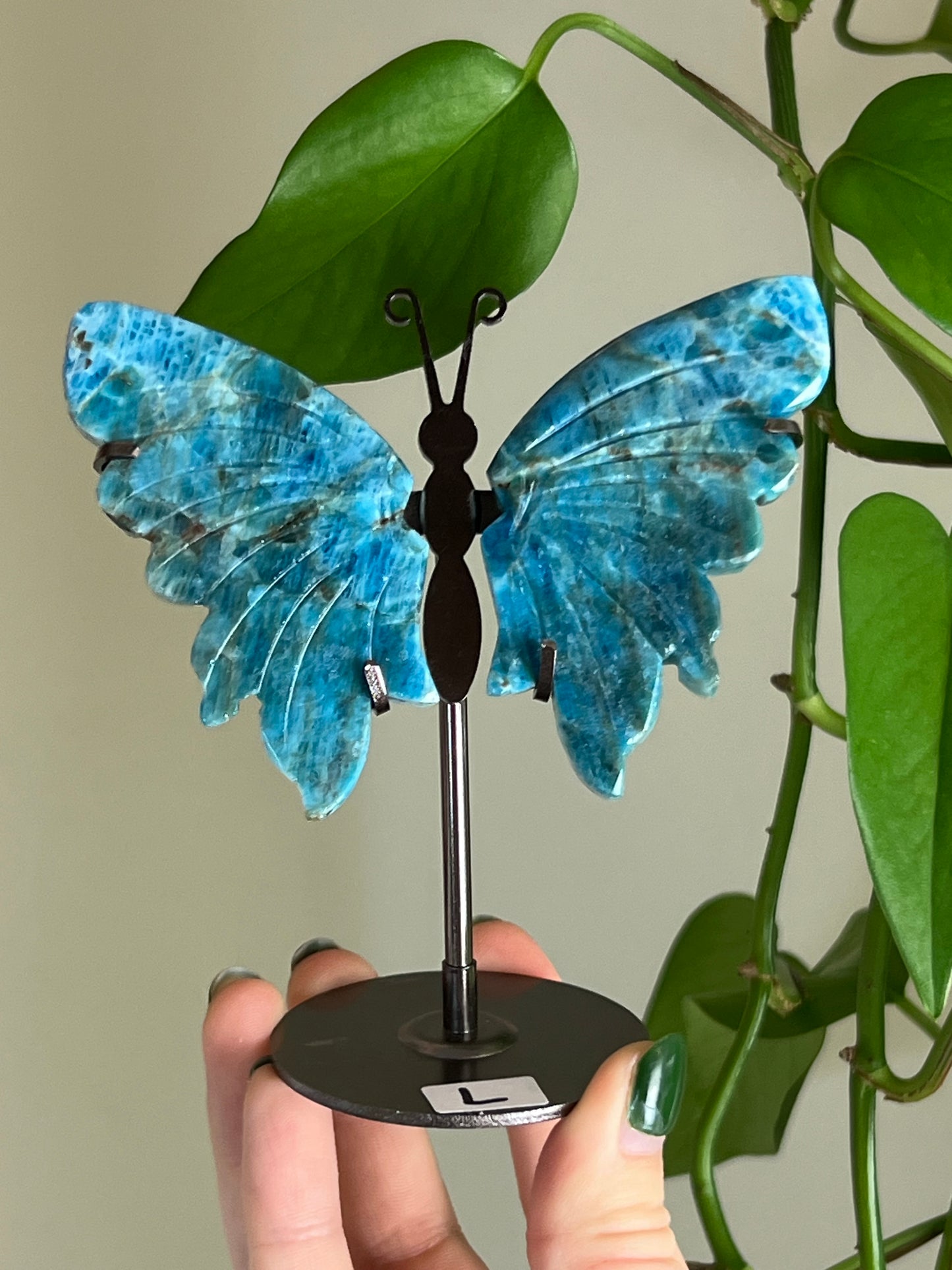 Blue Apatite Butterfly Stand L