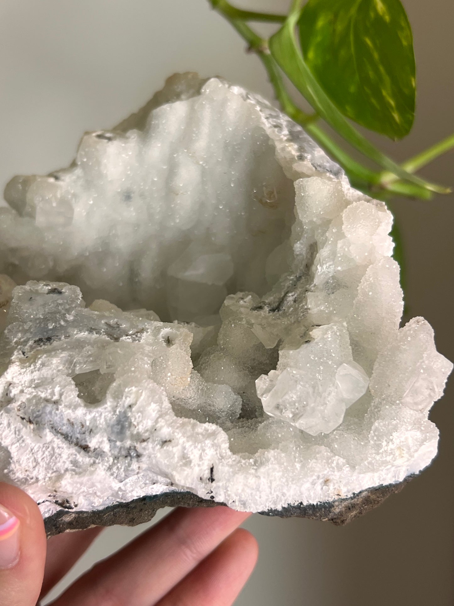 Chalcedony and Apophyllite Large Cluster 🪸