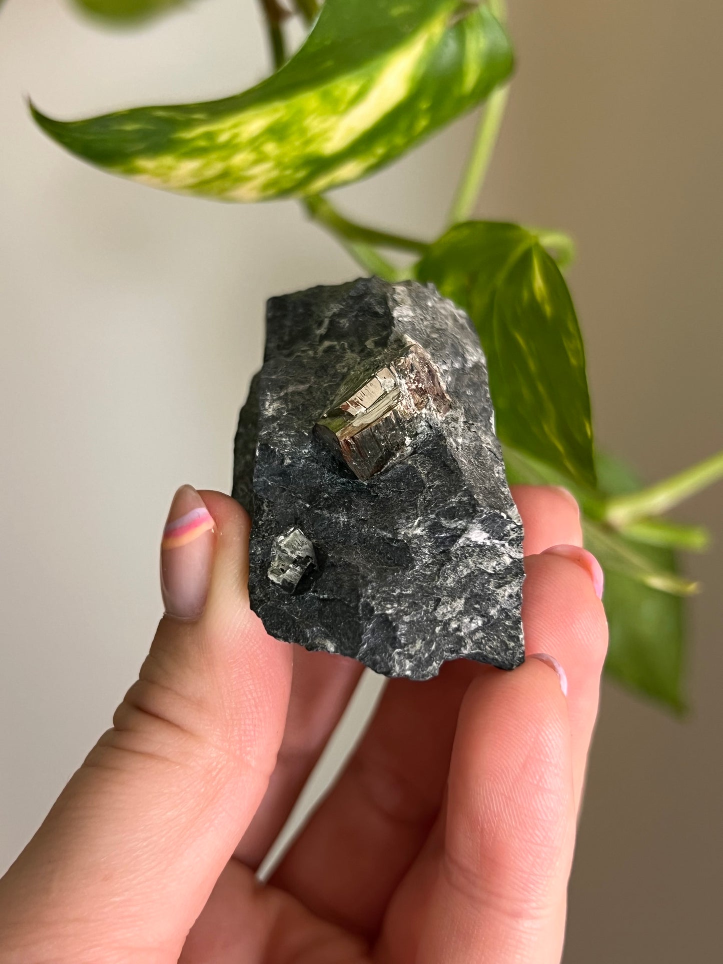 Pyrite on Matrix - Ontario - P