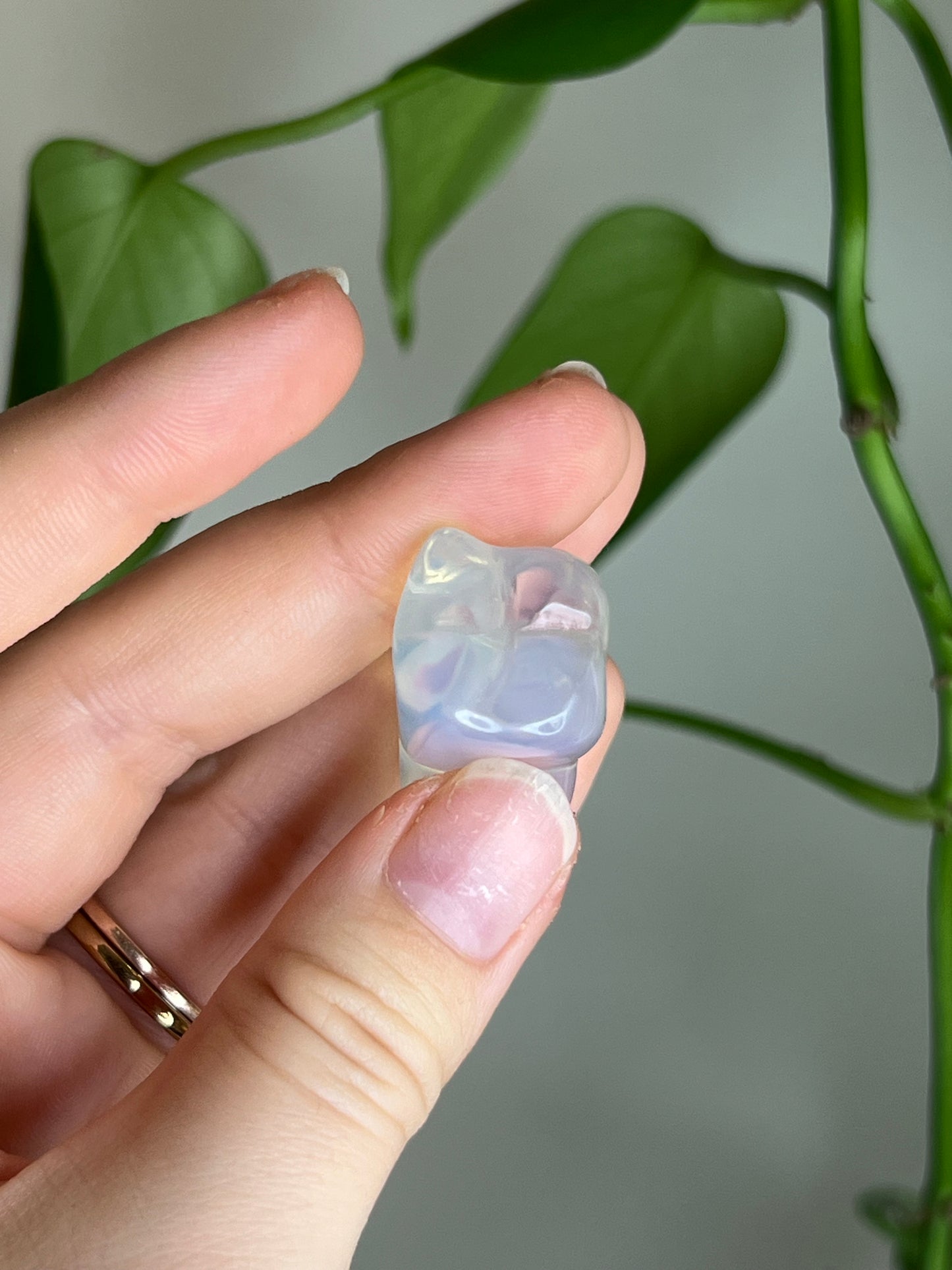 Opalite Glass Tooth