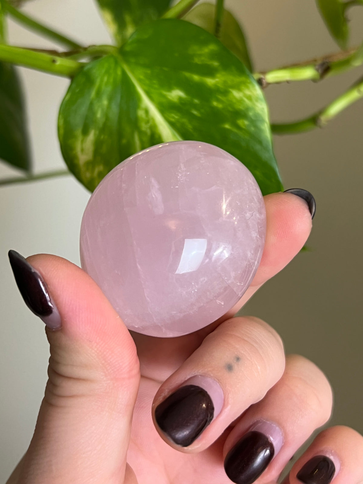 Rose Quartz Palm Stone - 0