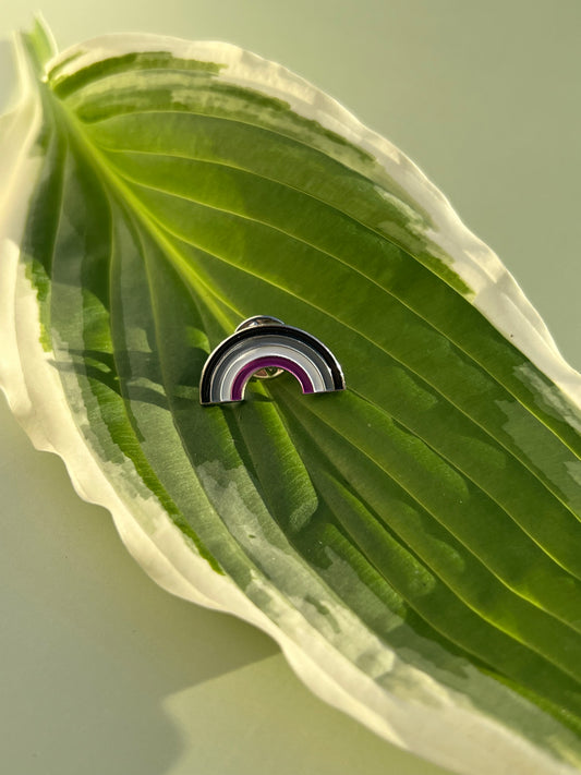 Asexual Rainbow Pin