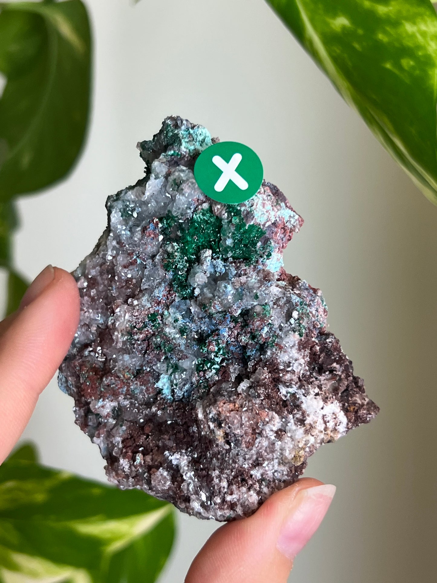 Druzy Malachite with Chrysocolla + Dolomite Sparkly Cluster - X