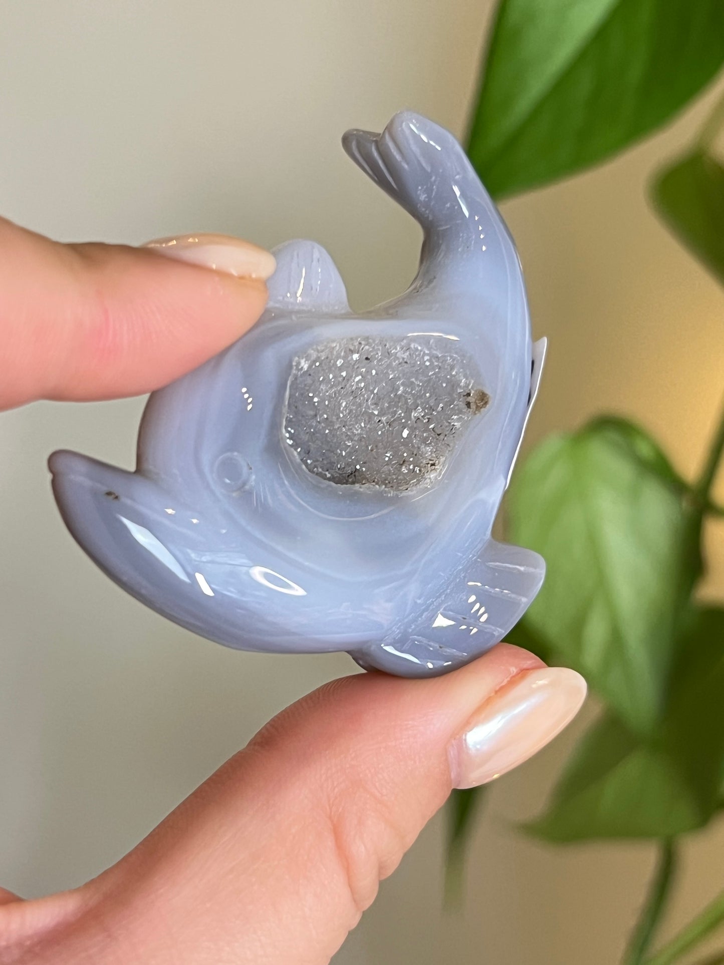 Druzy Agate Dolphin