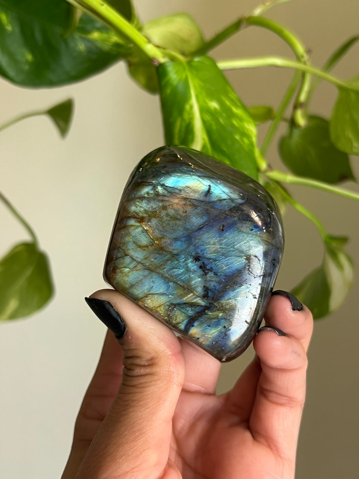 Flashy Labradorite Freeform