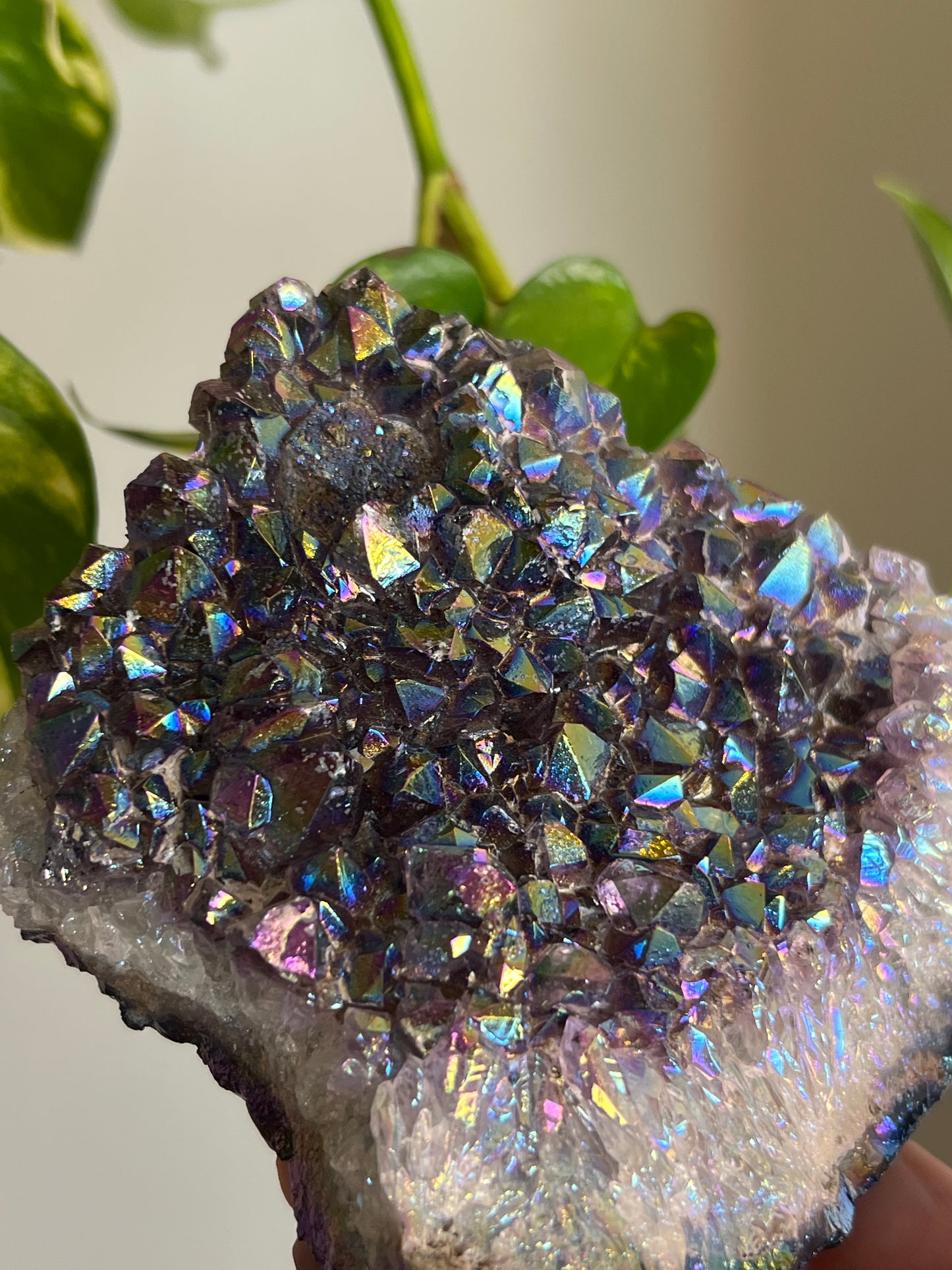 Aura Amethyst Large Cluster