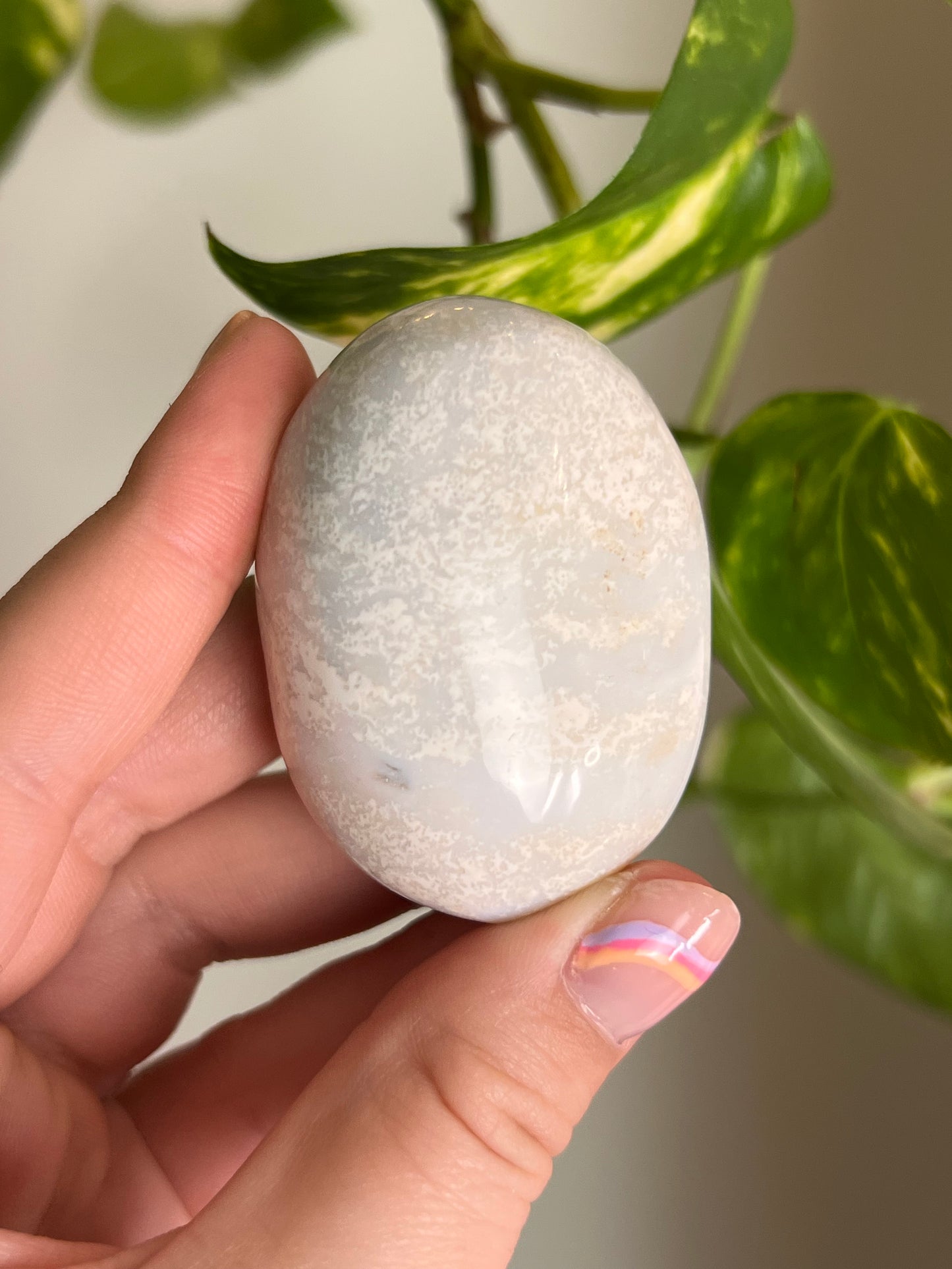 White Ocean Jasper Palm