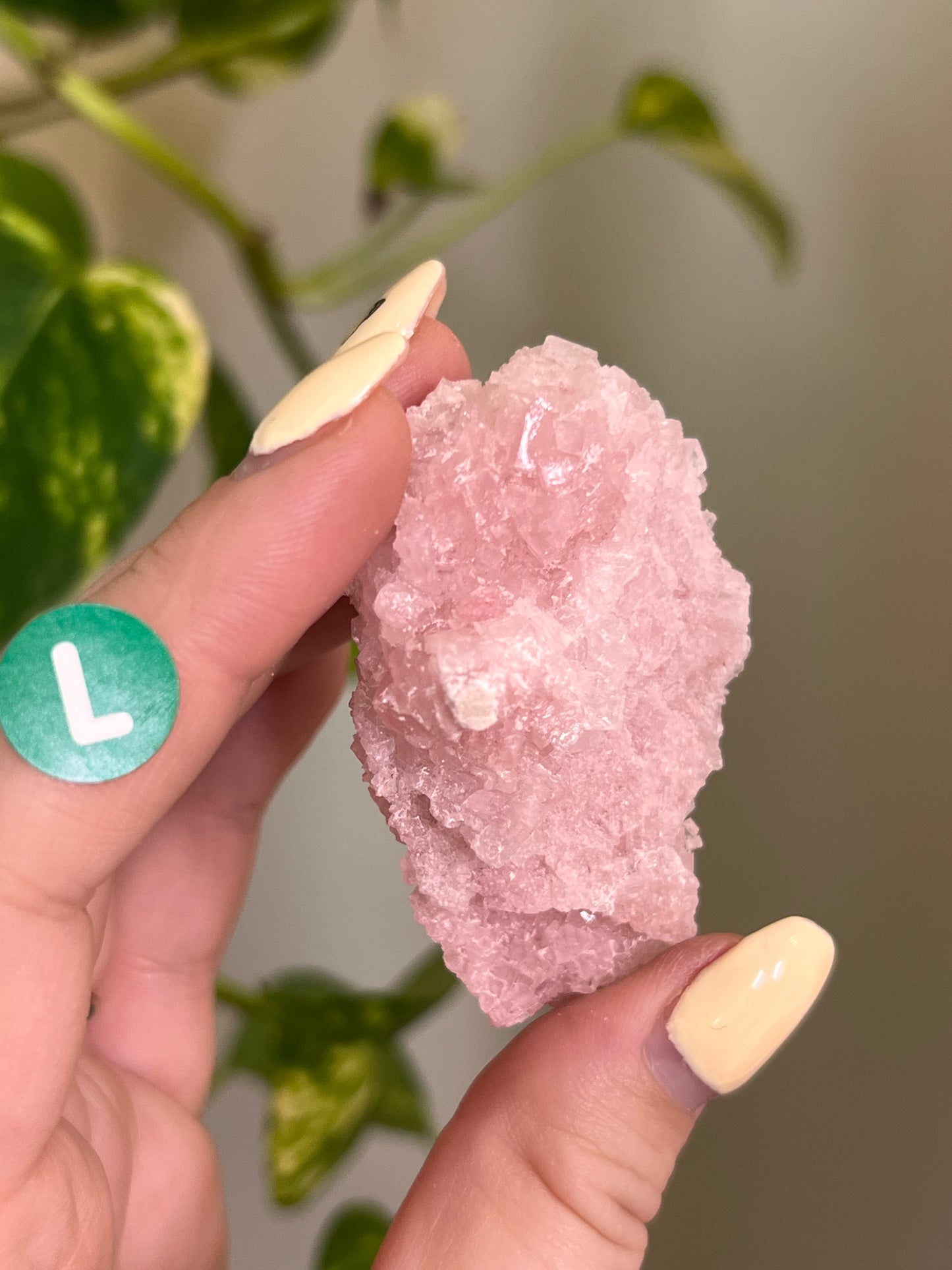 Pastel Pink Halite Specimen - L