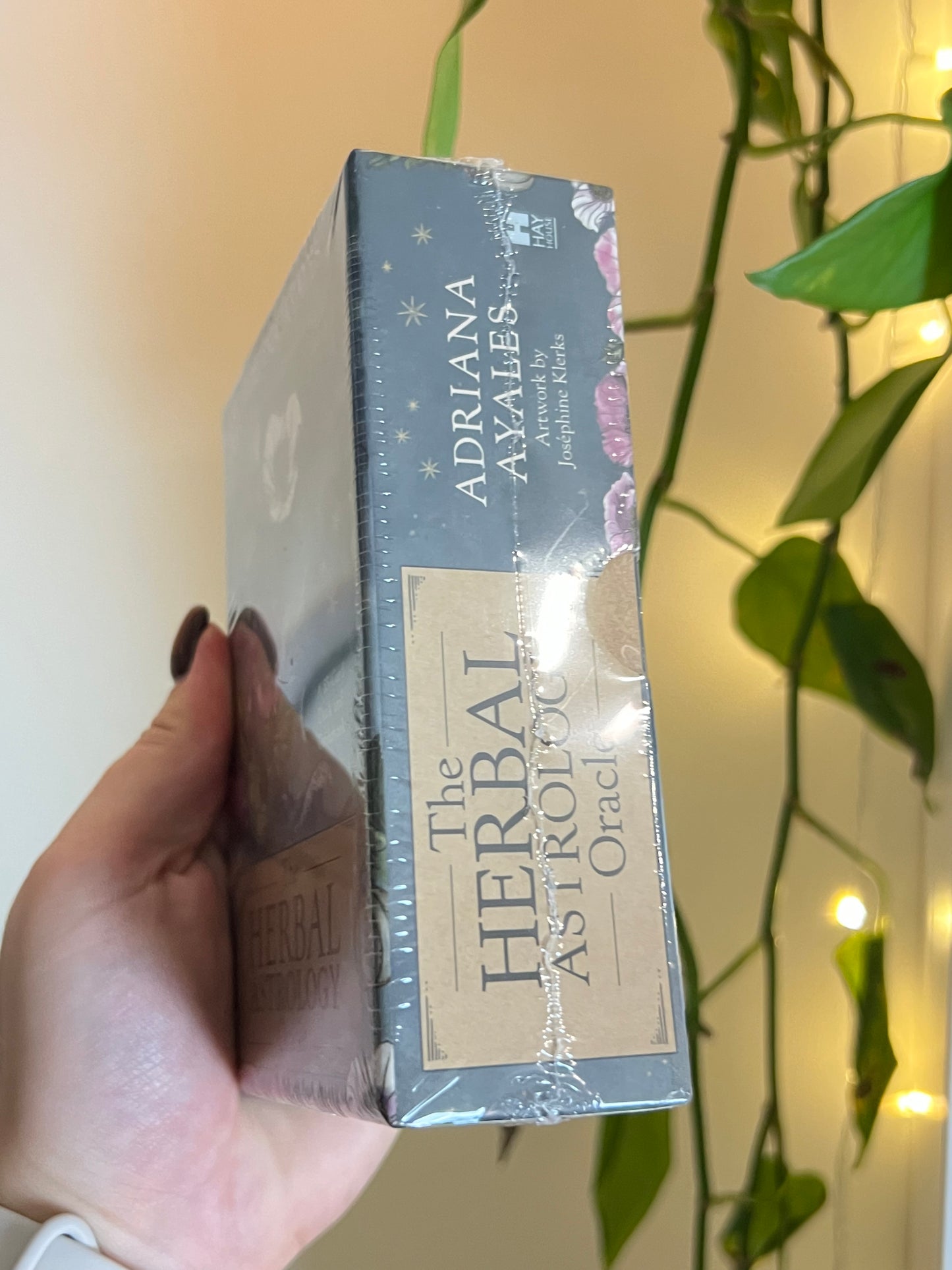 The Herbal Astrology Oracle Deck