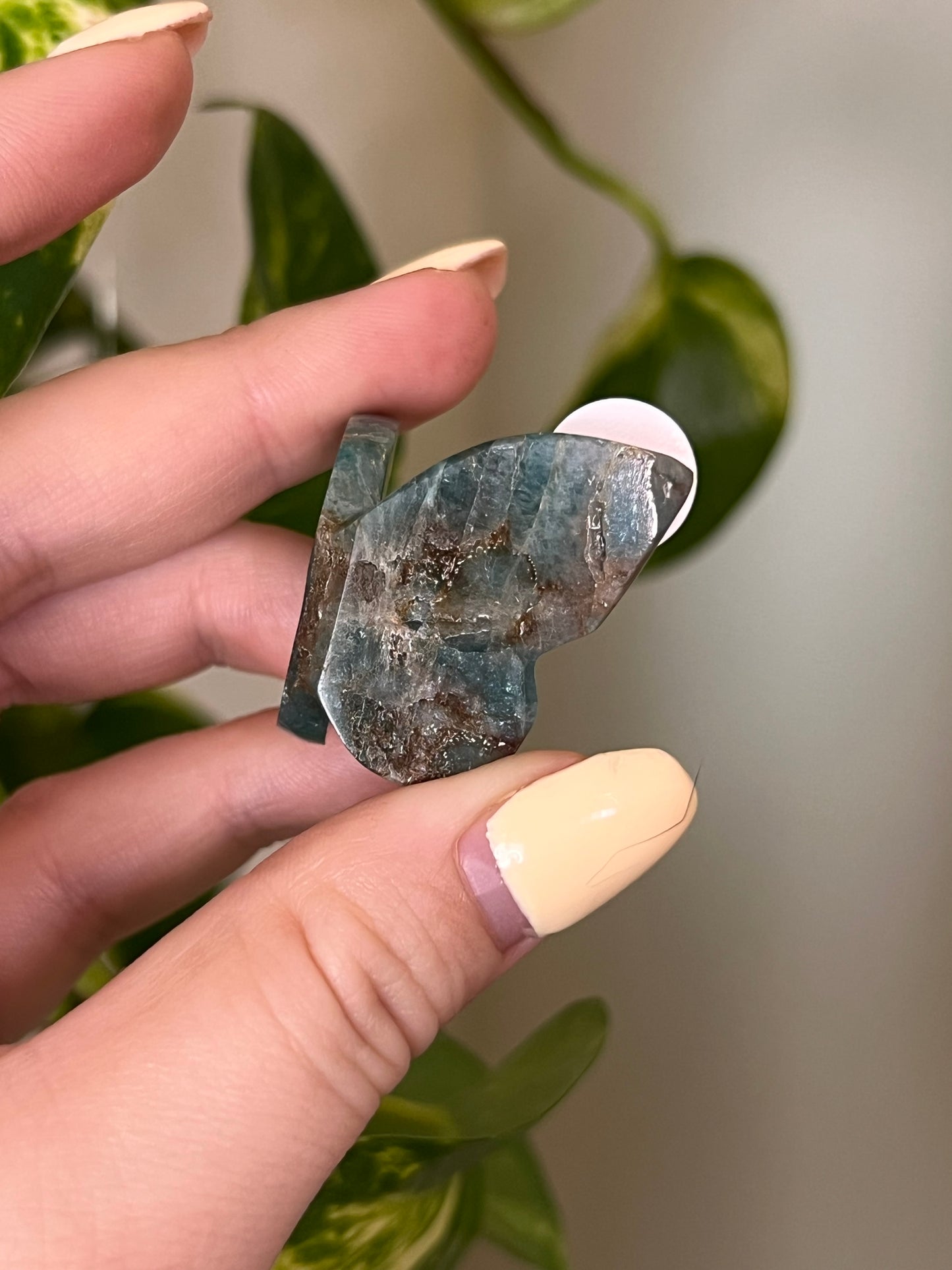 Green Apatite Small 3D Butterfly - Y