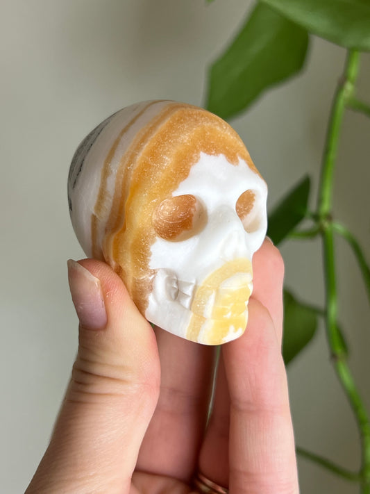 Zebra Calcite Skull