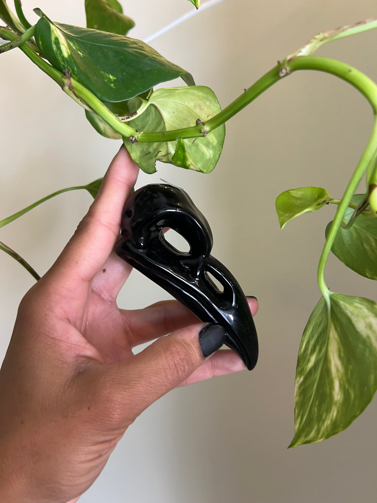 Black Obsidian Raven - Y