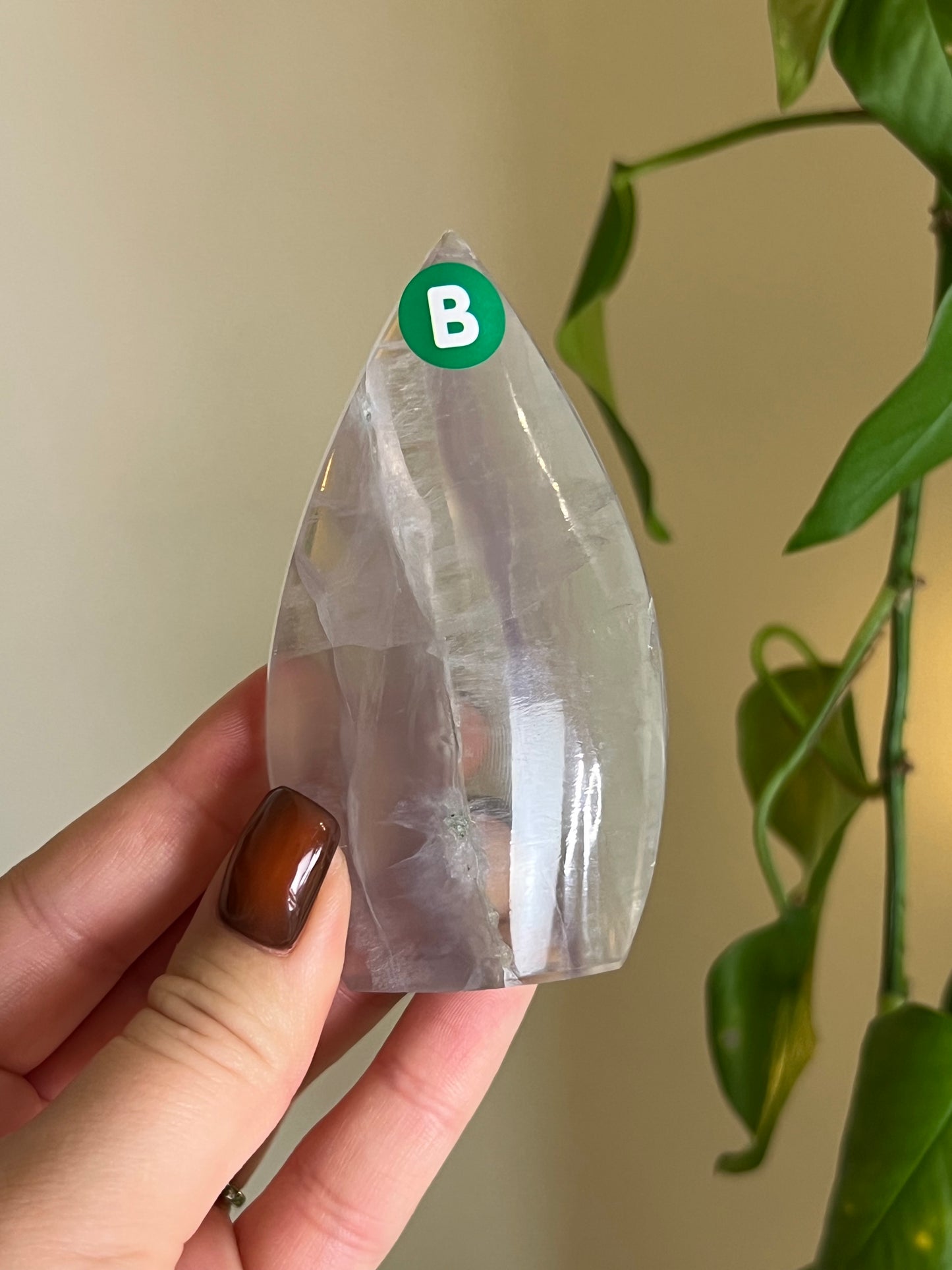 Pastel Fluorite Freeform - B