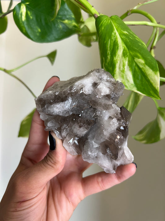 Smoky Quartz Cluster