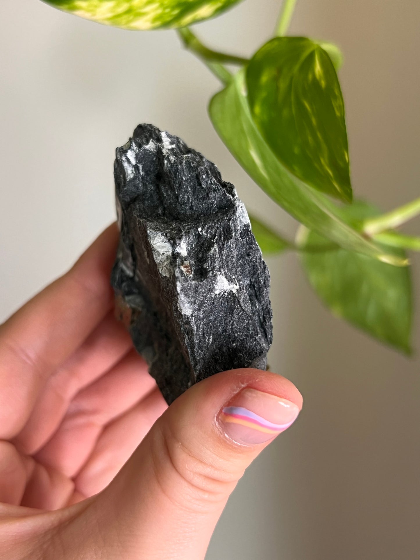 Pyrite on Matrix - Ontario - Z
