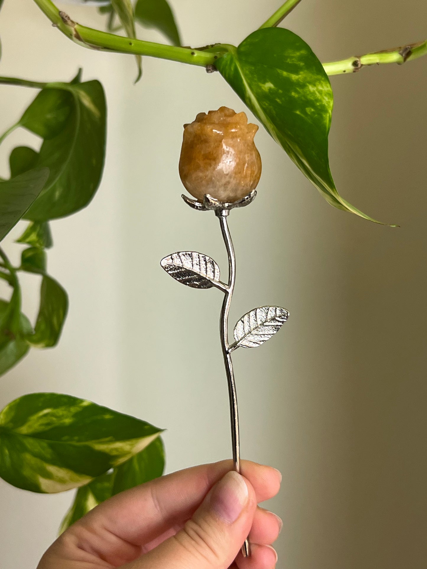 Golden Healer Quartz Rose on Silver Stem