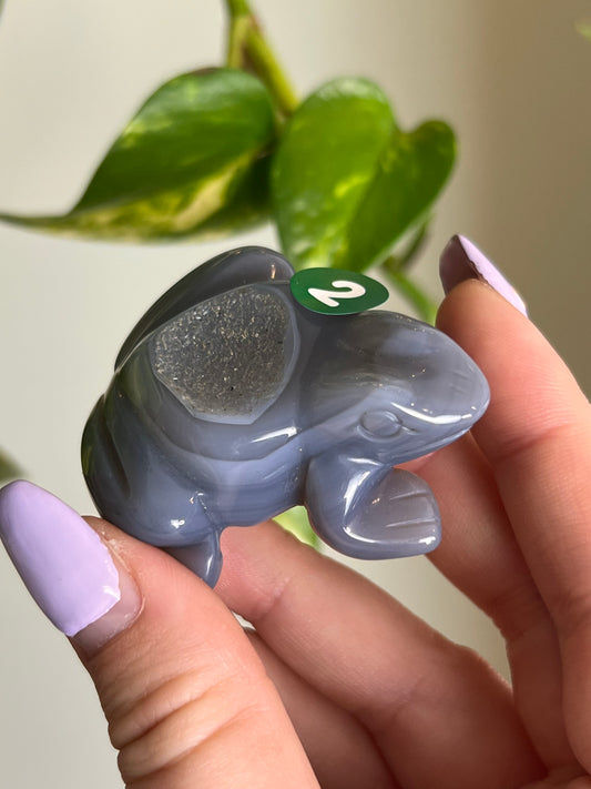 Druzy Agate Frog - 2