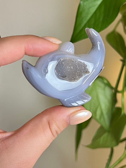 Druzy Agate Dolphin