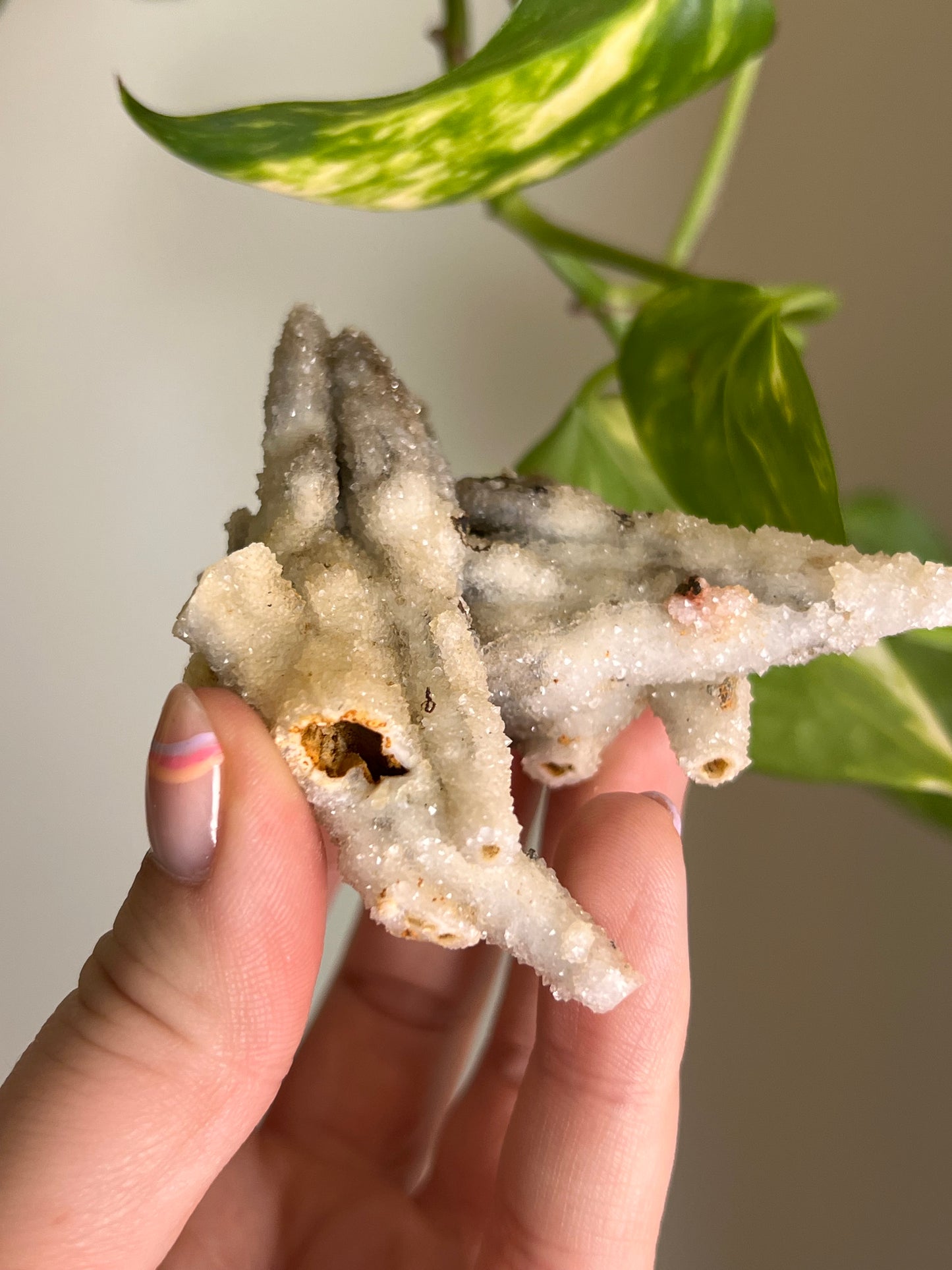 Druzy Calcite Pseudomorph - V