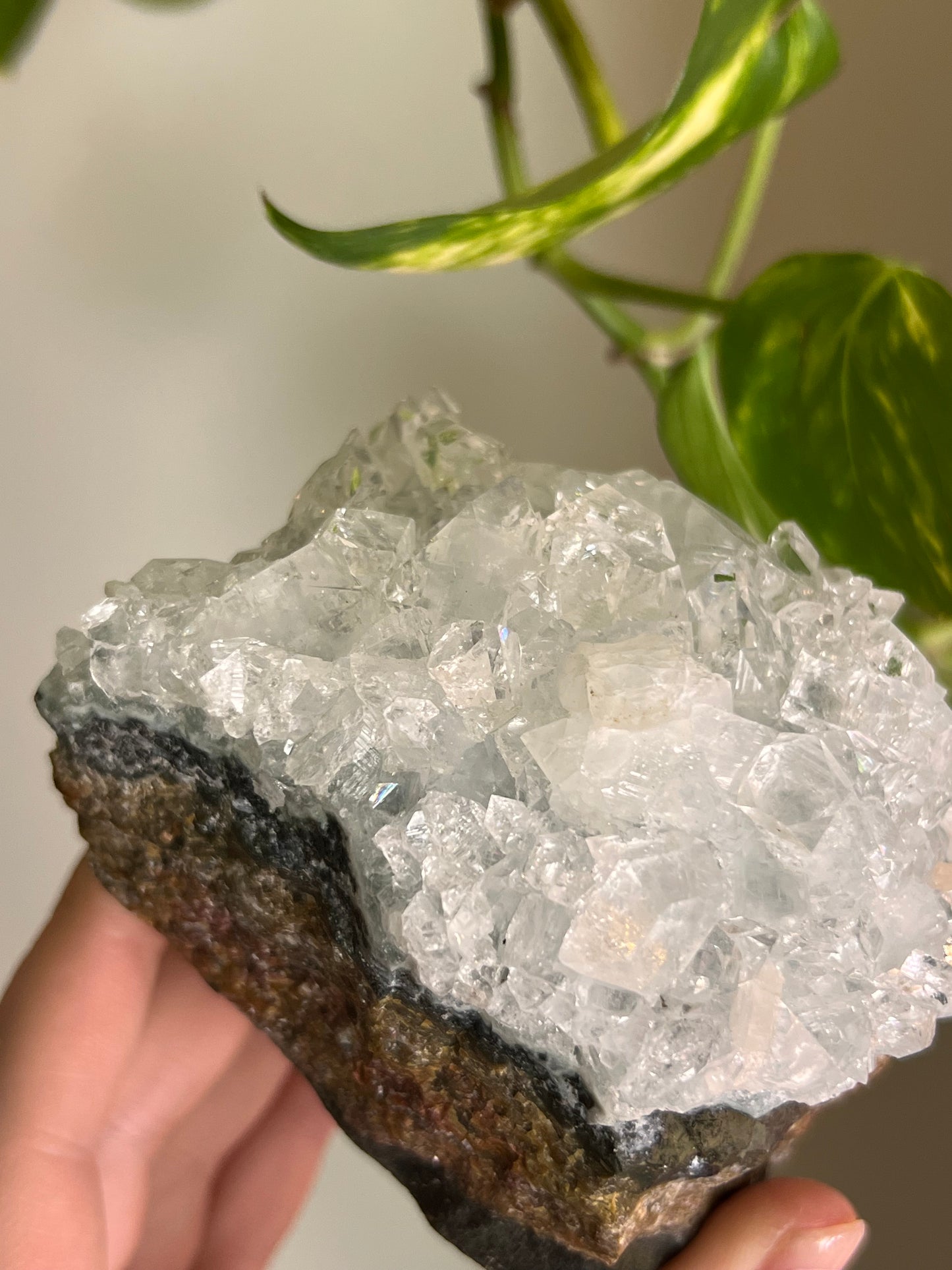 Apophyllite Cluster - I