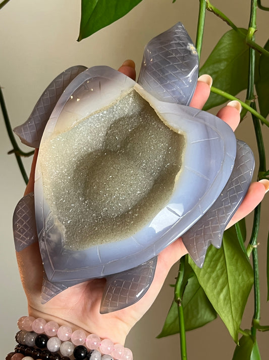 Druzy Agate Sea Turtle - Statement