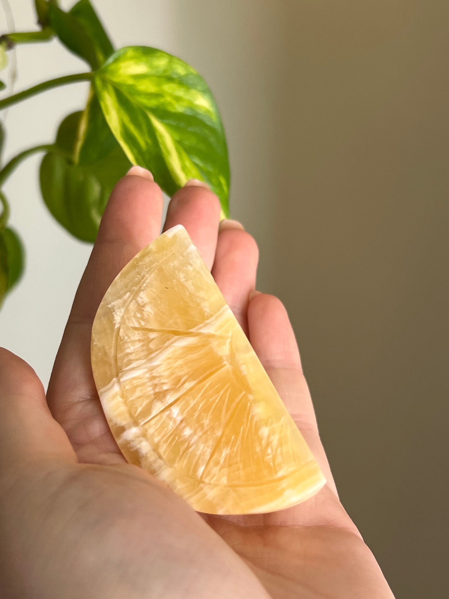 Orange Calcite Fruit Slice 🍊
